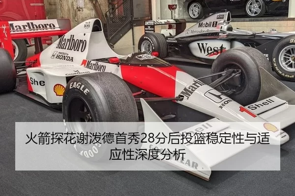 huo-jian-tan-hua-xie-po-de-shou-xiu-fen-hou-tou-lan-wen-ding-xing-yu-shi-ying-xing-shen-du-fen-xi-2-488.jpg
